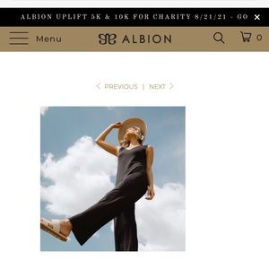 Albion Fit- yes please jumper